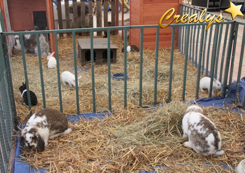 Crealys : La mini ferme avec animaux, coqs, cochons, lapins...